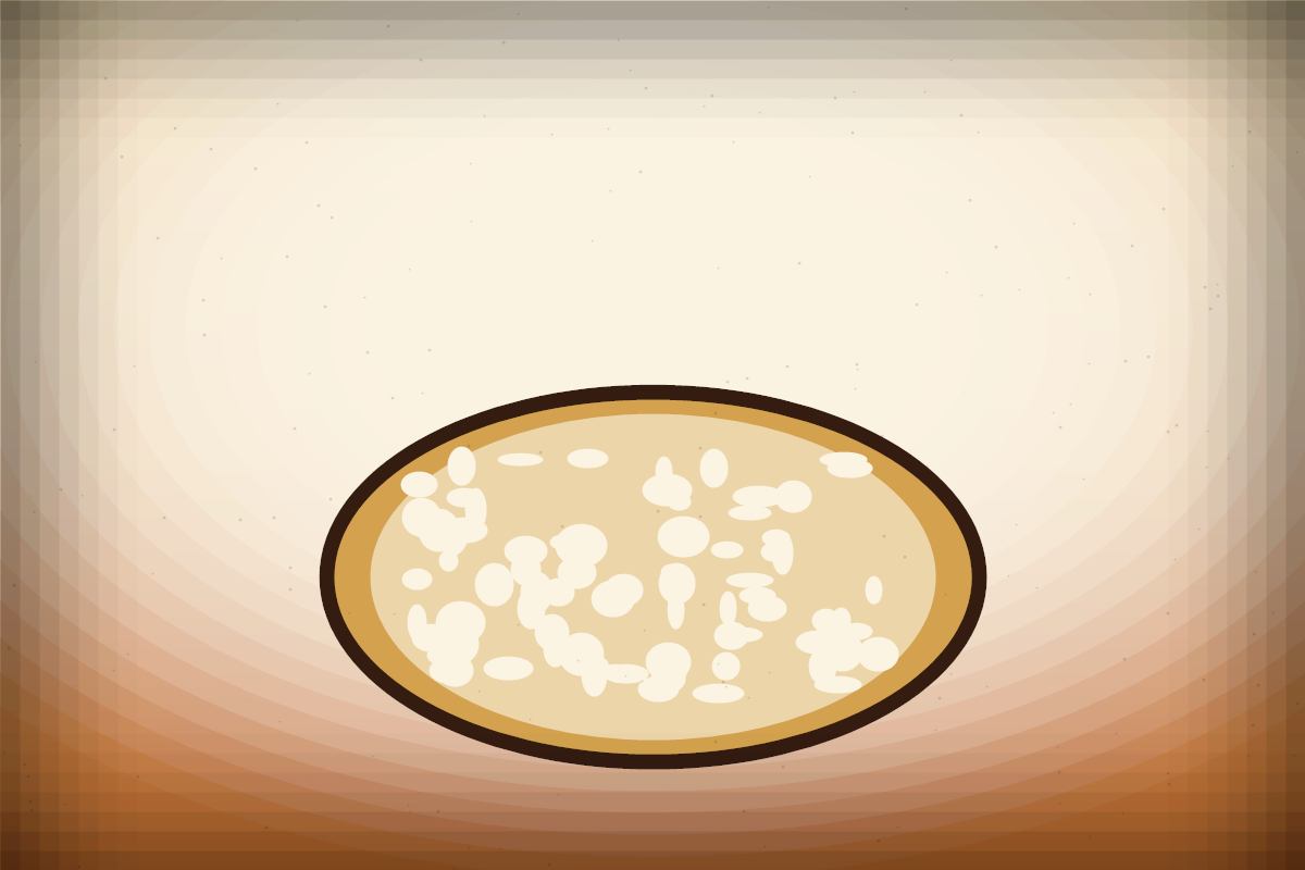 Cross-section of sourdough bread crumb